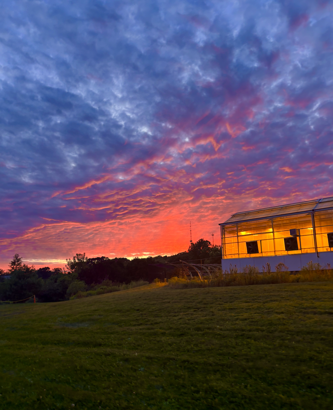 A vibrant sunset with pink, purple, and orange clouds above a greenhouse glowing with warm light, set against a grassy field and tree line.