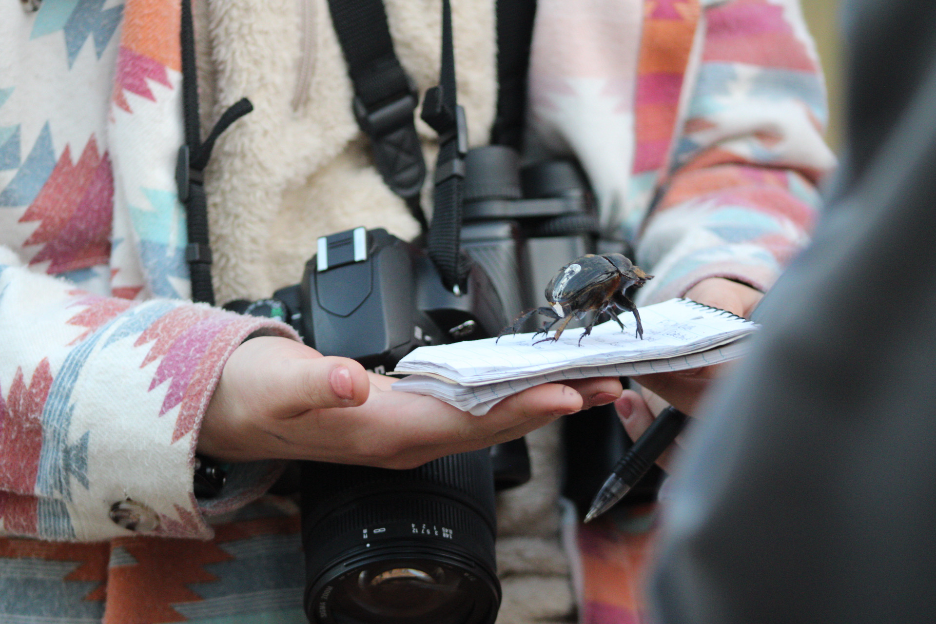 A person holding a notebook with a large beetle perched on it, while wearing a patterned jacket and carrying a camera and binoculars around their neck.
