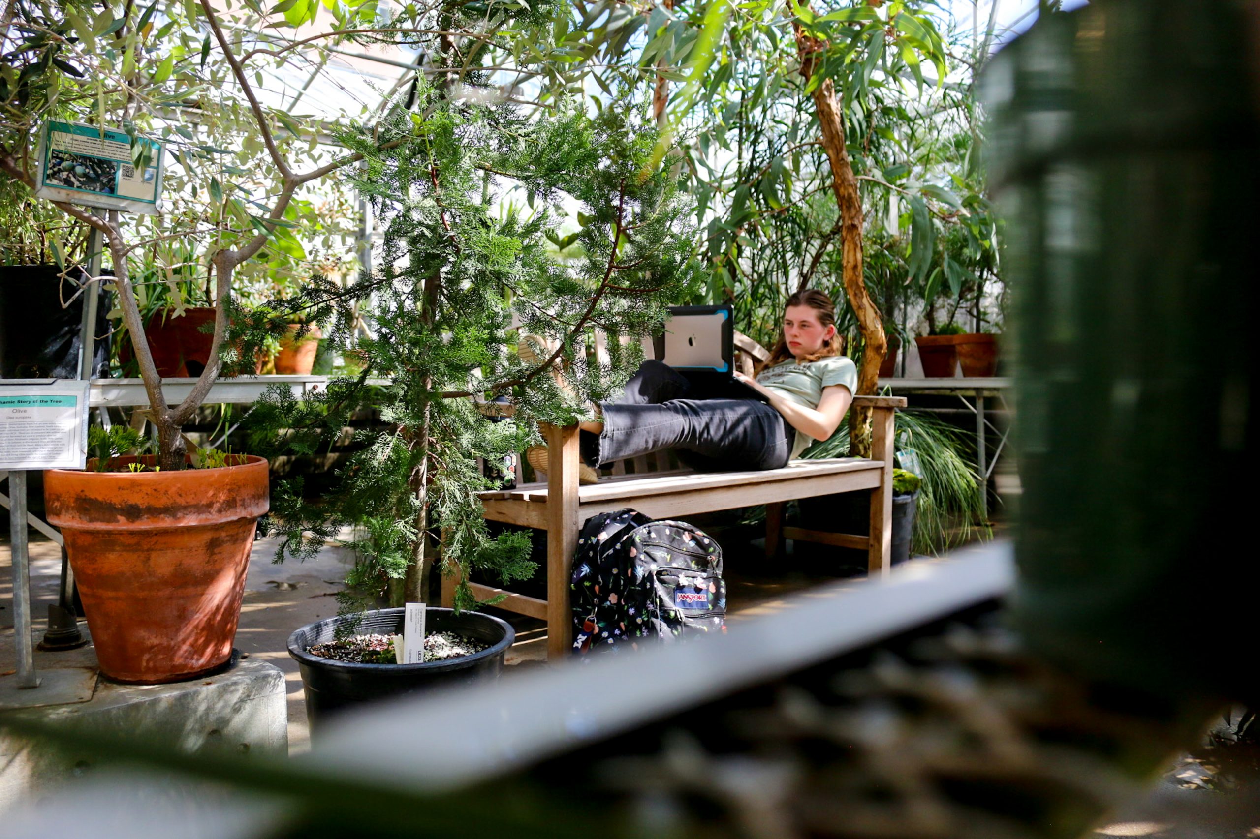 A student relaxes on a wooden bench in a sunlit greenhouse, studying on a tablet surrounded by lush green plants and potted trees.